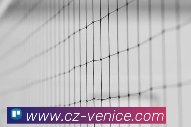 威尼斯人官网服务体系